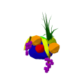 Fruit Hat