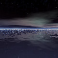Starry Night