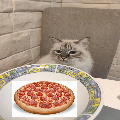 CAT EAT DA PIZZA?