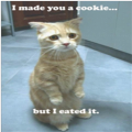 Selfish Kitty