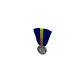 ROBLOX Veteran's Medal