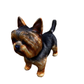 Cute Dog