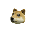 Doge