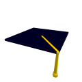 PHD Hat