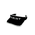 Guest Visor