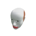 Felipe