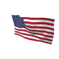USA Flag