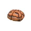 Brain